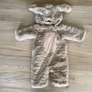 Pottery Barn Dog Costume Halloween